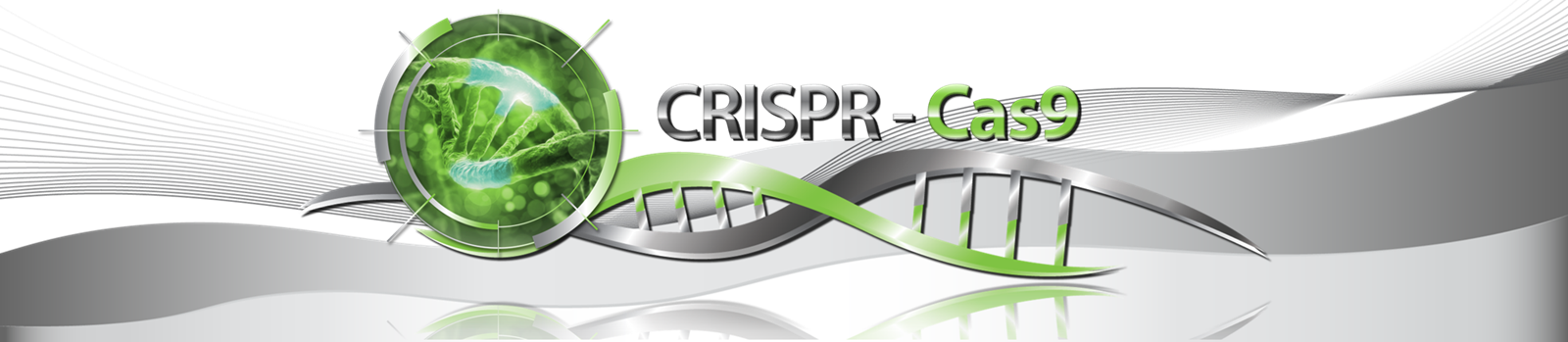 CRISPR - Cas9