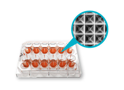 [Celvivo]3D Cell Culture incubator : CLINOSTAR™