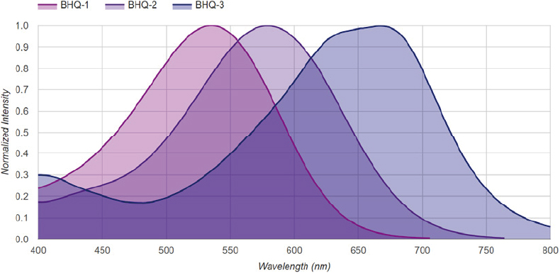 Dual-Labeled BHQ Probes